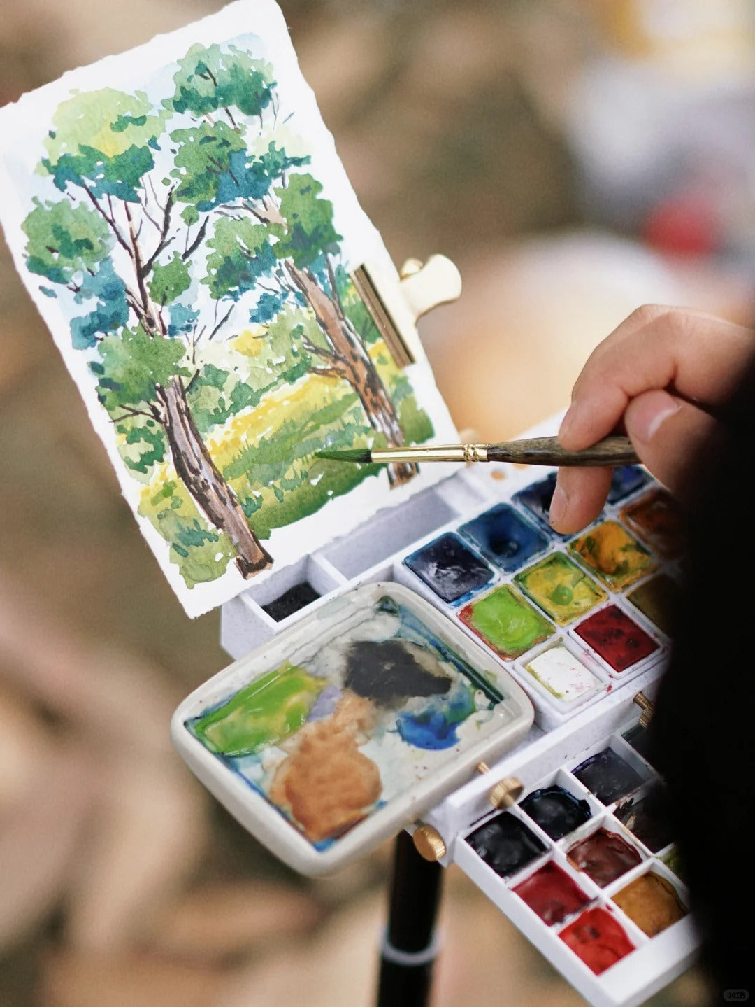 Outdoor Sketching Easel Solid Watercolor Paint Box